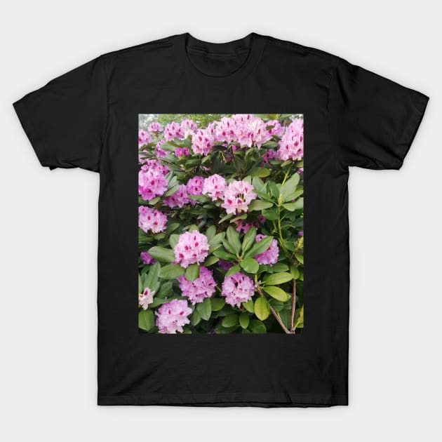 Abundant Flowers T-Shirt by colorful444